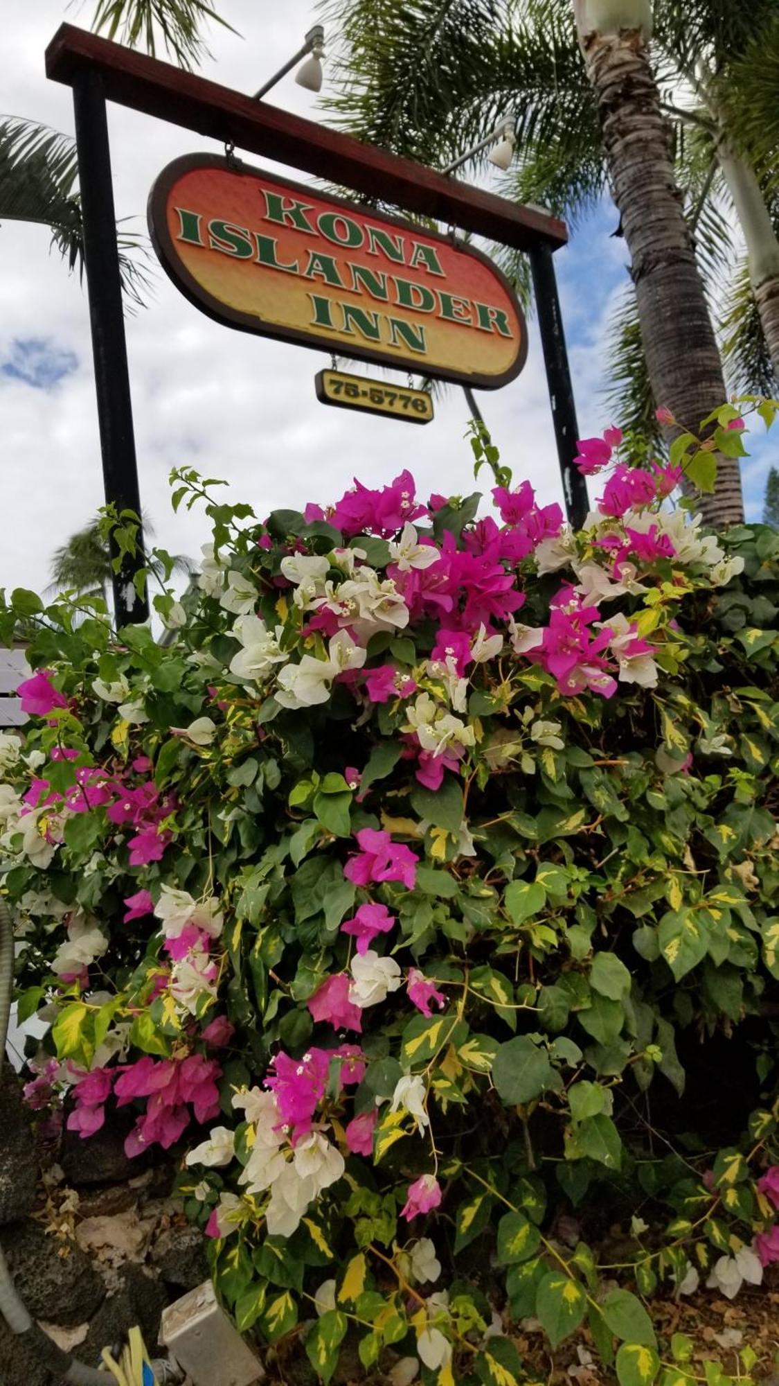 Downtown Hawaiian Theme Condo With Hot Tub, Pool & Beach - Kona Islander Inn カイルア・コナ エクステリア 写真